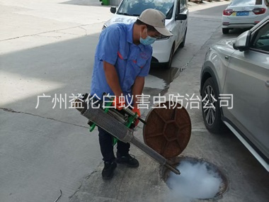 增城下水道热烟雾灭杀蚊虫、蟑螂工程